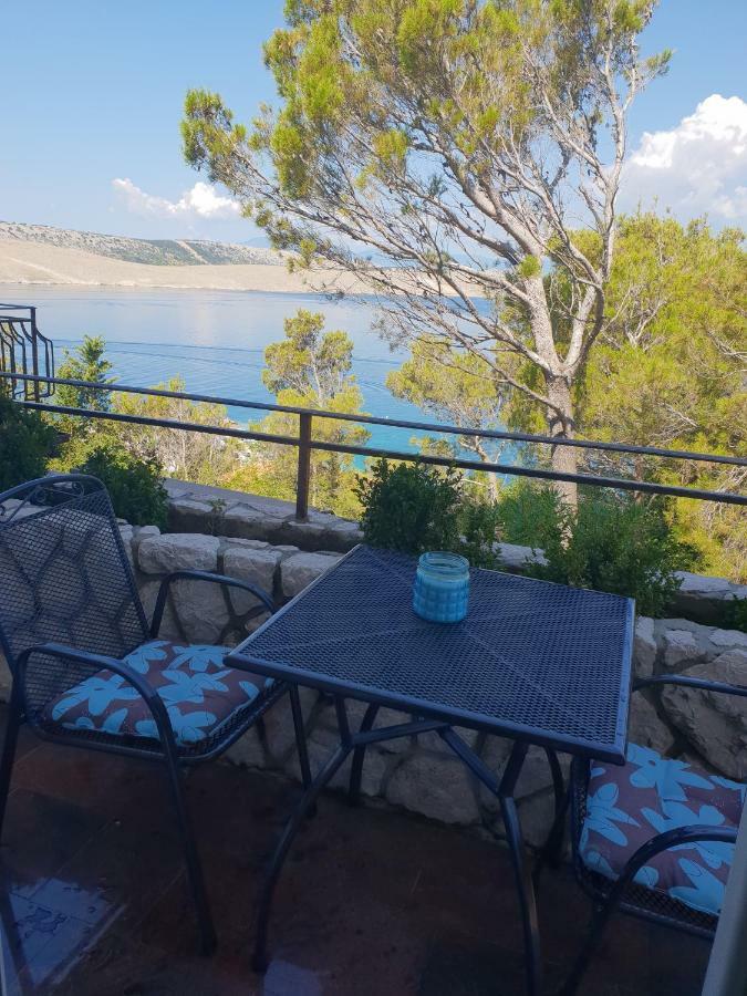 Apartments Villa Antonia 자드라보노 외부 사진